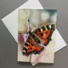 wenskaart vlinder